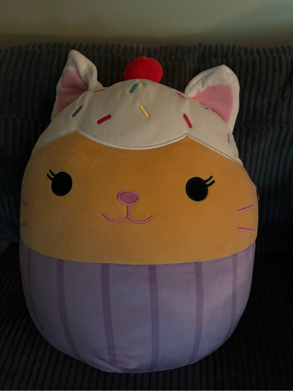 Squishmallow Miriam the Cupcake Cat NWT